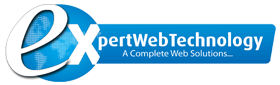Expert Web Technology